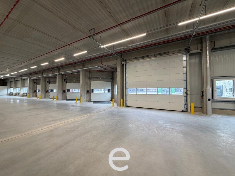 NEUBAU  - Produktions / Lagerhalle mit Büroflächen in Enns/Ennshafen zu vermieten – individuell und zukunftsorientiert - Bild 3
