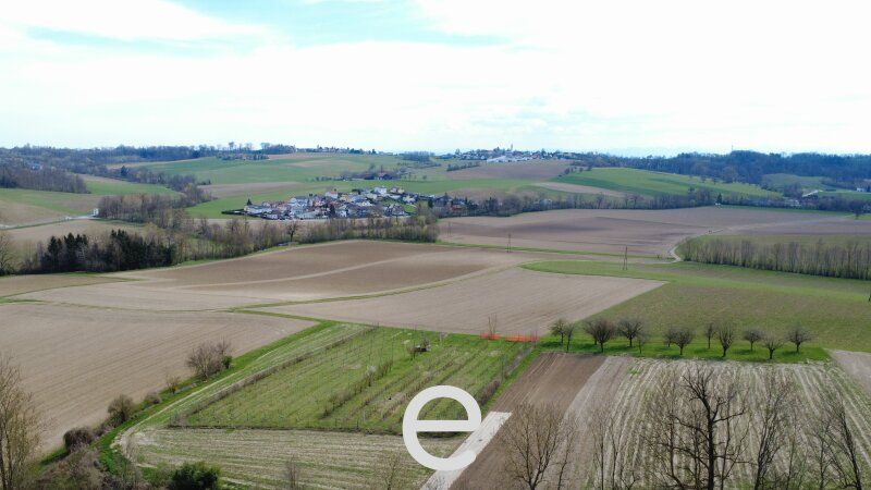4,2 ha Ackerland in Straßham (nähe Alkoven) zu verkaufen! - Bild 1