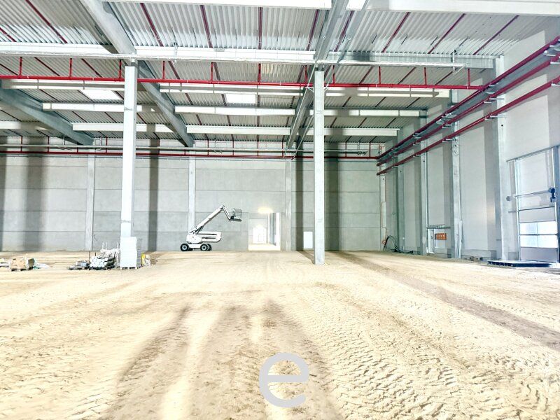 Direkt an der Grenze zwischen Österreich, Slowakei und Ungarn I Lager- und Produktionshalle ab 3.500 m² zu mieten - Bild 5