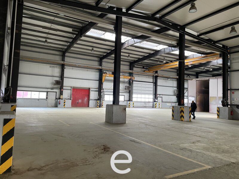 NEUBAU Lagerhalle mit rd. 7 bis 9 Meter Hallenhöhe, beheizbar, diversen Krananlagen, Freiflächen etc. in Asten zu vermieten! - Bild 13