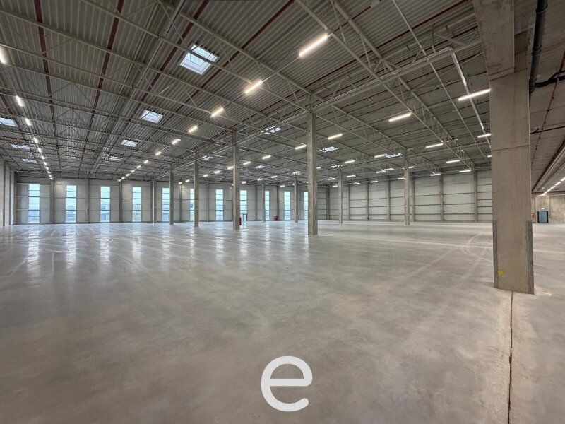 NEUBAU  - Produktions / Lagerhalle mit Büroflächen in Enns/Ennshafen zu vermieten – individuell und zukunftsorientiert - Bild 4