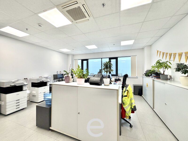 Business Park im Süden Wiens I ab rd. 300 m² Gewerbe - und Produktionsfläche - Bild 14
