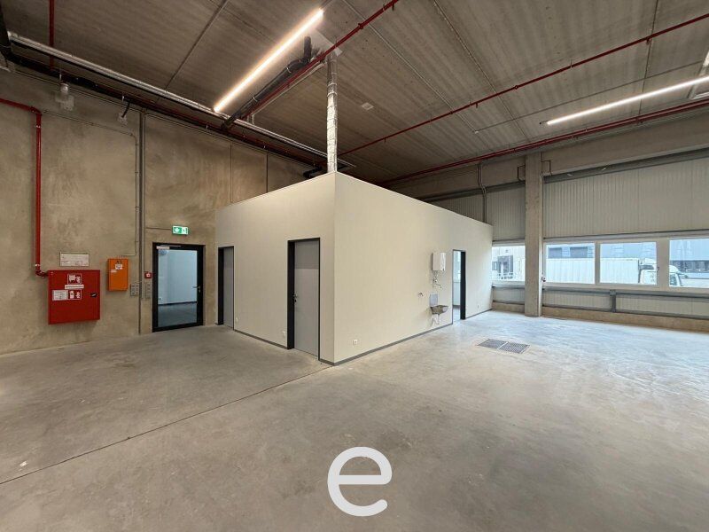 NEUBAU  - Produktions / Lagerhalle mit Büroflächen in Enns/Ennshafen zu vermieten – individuell und zukunftsorientiert - Bild 1