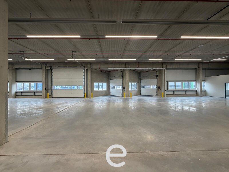 NEUBAU  - Produktions / Lagerhalle mit Büroflächen in Enns/Ennshafen zu vermieten – individuell und zukunftsorientiert - Bild 2