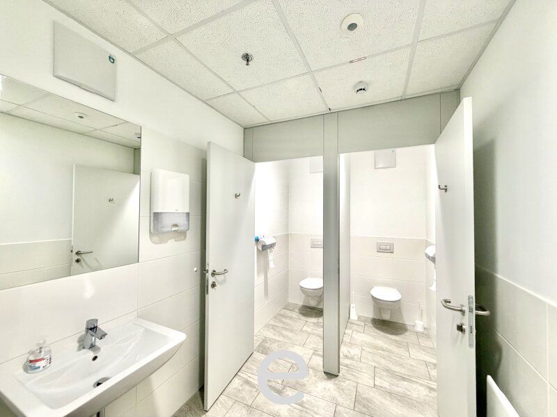 Business Park im Süden Wiens I ab rd. 300 m² Gewerbe - und Produktionsfläche - Bild 11