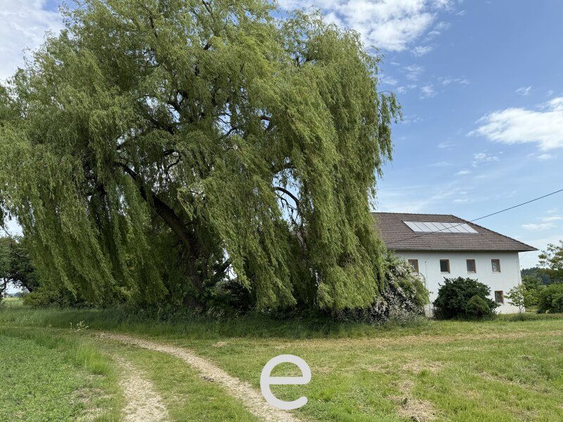 Vierkanthof in idyllischer Alleinlage - Bild 6