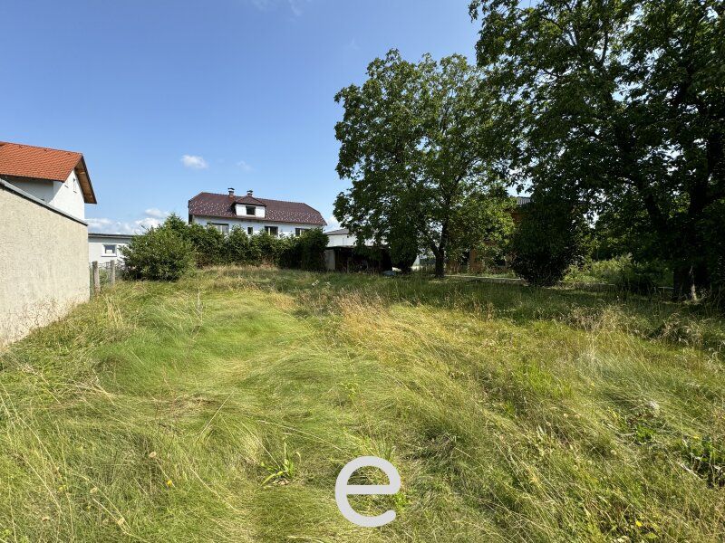 Großfamilien aufgepasst! Mehrfamilienhaus mit großzügigem Grundstück in Wels/Pernau! - Bild 3