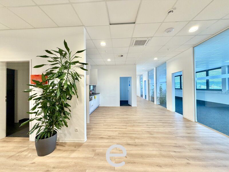 Büro im modernen Gewerbepark im Nord-Westen Wiens I Zukunftspark+ in Tulln - Bild 3