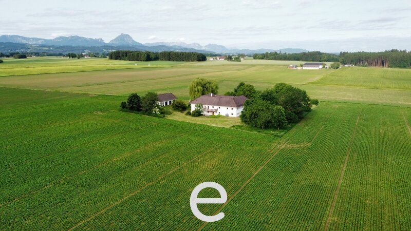 Vierkanthof in idyllischer Alleinlage - Bild 1