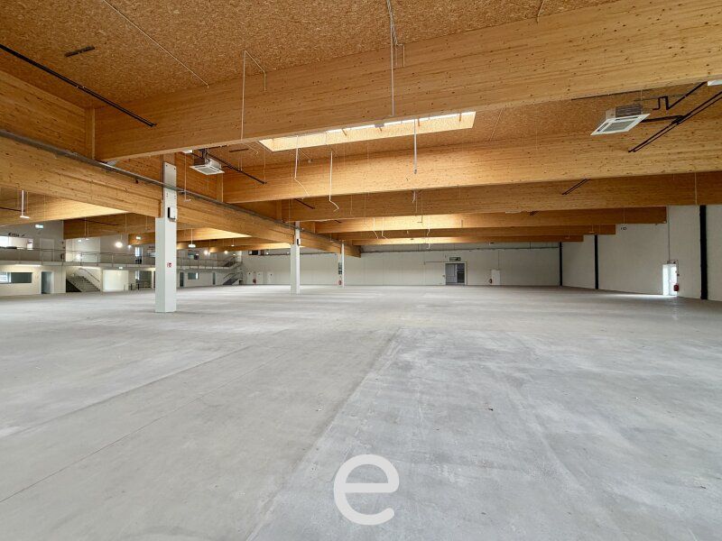 Retail- und/oder Lagerfläche mit Freiverkaufsfläche und Freilagerfläche in zentraler Lage in Stockerau - Bild 13