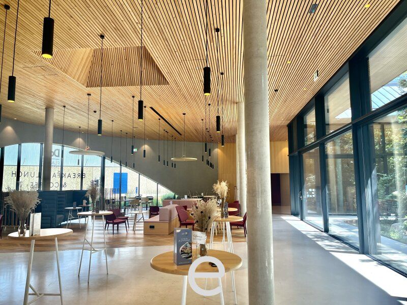 Office und Warehouse im Süden Wiens - Bild 13