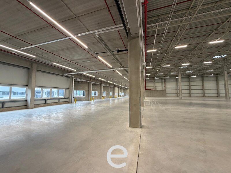 NEUBAU  - Produktions / Lagerhalle mit Büroflächen in Enns/Ennshafen zu vermieten – individuell und zukunftsorientiert - Bild 3