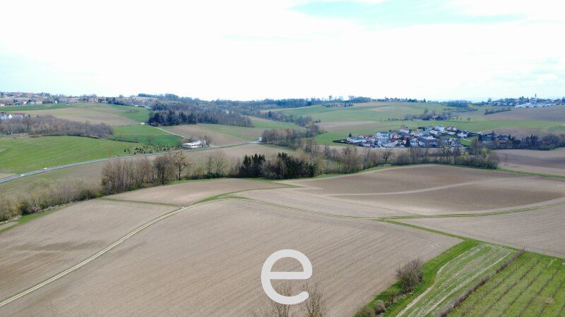 4,2 ha Ackerland in Straßham (nähe Alkoven) zu verkaufen! - Bild 3