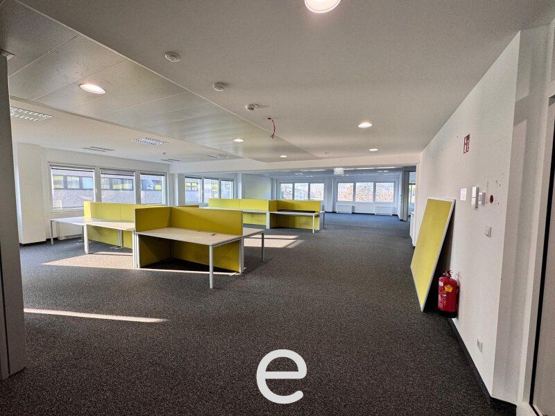 Stylische Büroflächen am Winterhafen Linz – Erstklassige Lage mit Top-Ausstattung! - Bild 4
