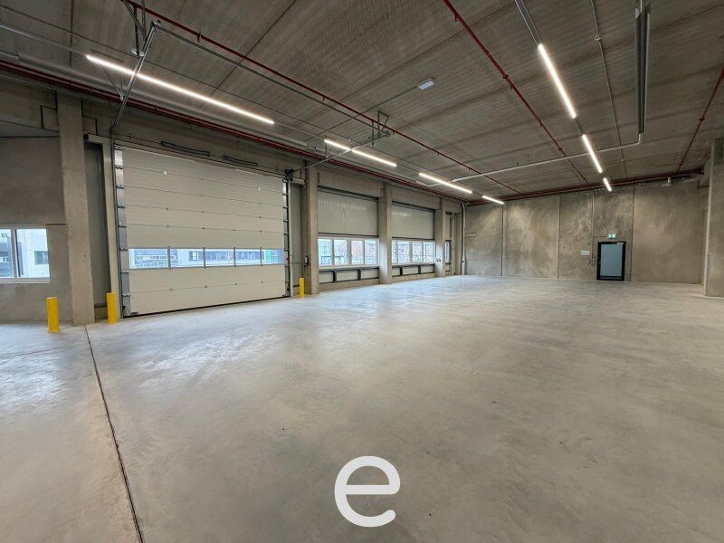 NEUBAU  - Produktions / Lagerhalle mit Büroflächen in Enns/Ennshafen zu vermieten – individuell und zukunftsorientiert - Bild 2
