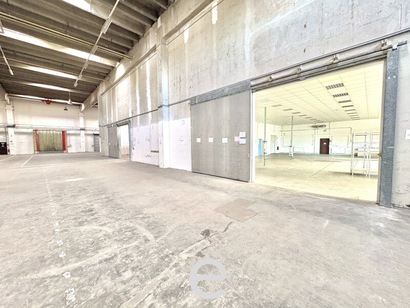 Lagerhalle mit Büro in Vösendorf zu mieten - Bild 4