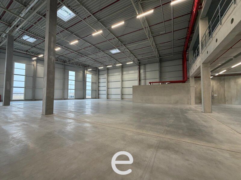 NEUBAU  - Produktions / Lagerhalle mit Büroflächen in Enns/Ennshafen zu vermieten – individuell und zukunftsorientiert - Bild 4