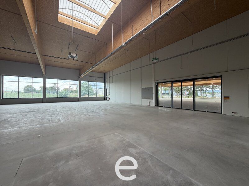 Retail- und/oder Lagerfläche mit Freiverkaufsfläche und Freilagerfläche in zentraler Lage in Stockerau - Bild 12
